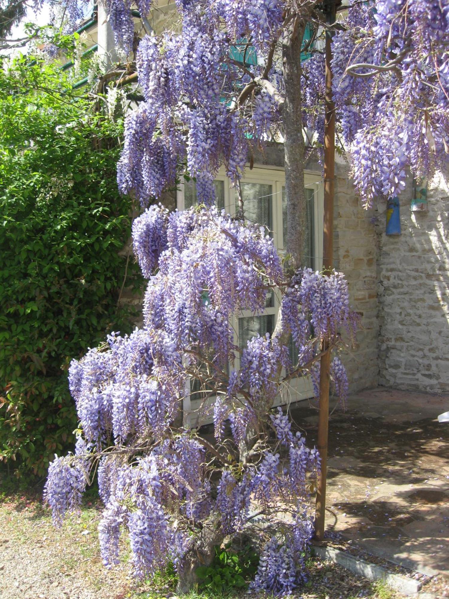 Agriturismo Cascina Serra Cossano Belbo ภายนอก รูปภาพ