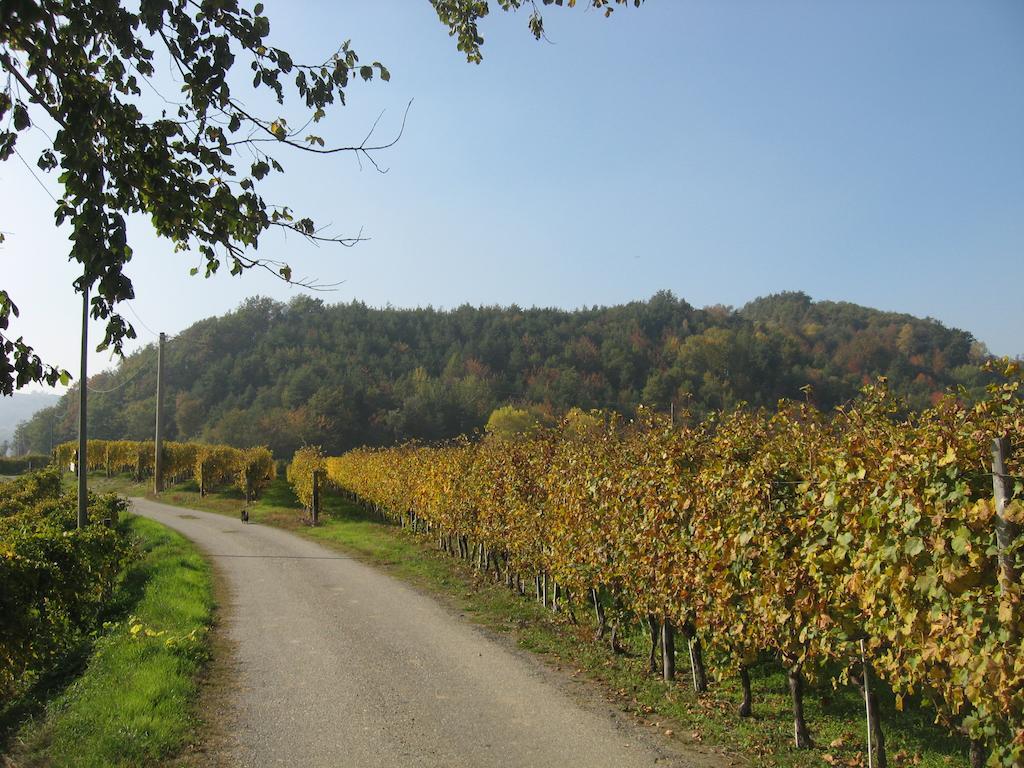 Agriturismo Cascina Serra Cossano Belbo ภายนอก รูปภาพ
