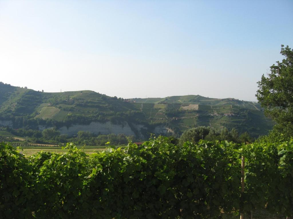 Agriturismo Cascina Serra Cossano Belbo ห้อง รูปภาพ