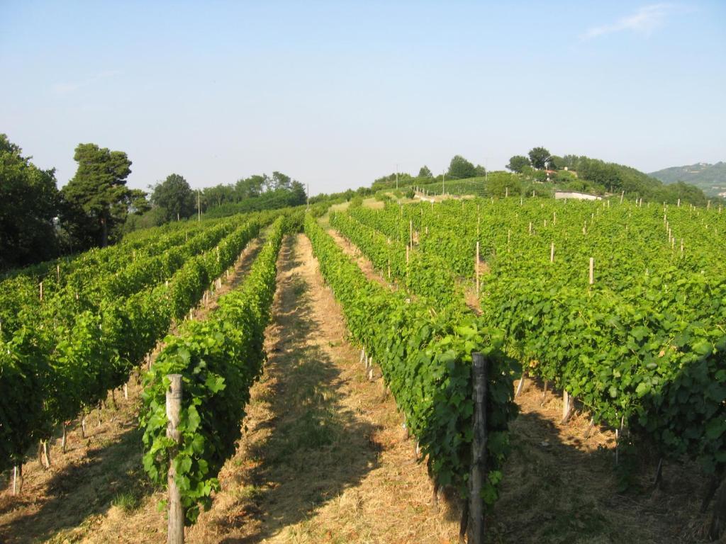 Agriturismo Cascina Serra Cossano Belbo ห้อง รูปภาพ