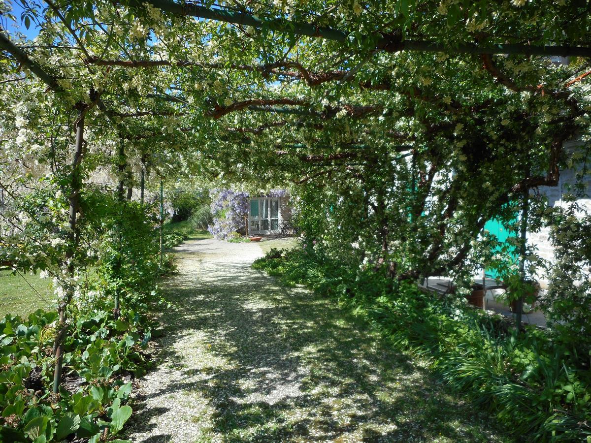 Agriturismo Cascina Serra Cossano Belbo ภายนอก รูปภาพ