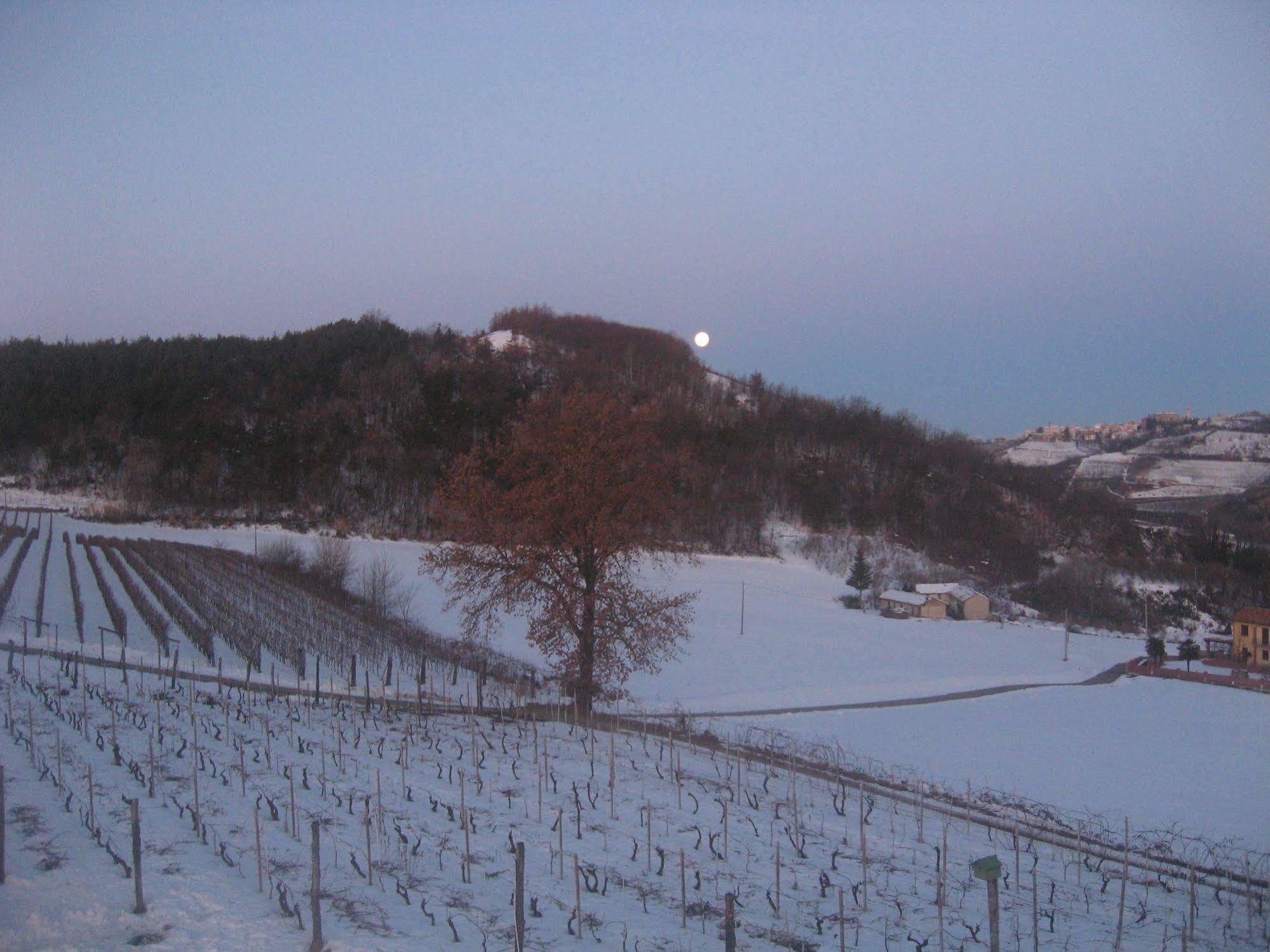Agriturismo Cascina Serra Cossano Belbo ภายนอก รูปภาพ