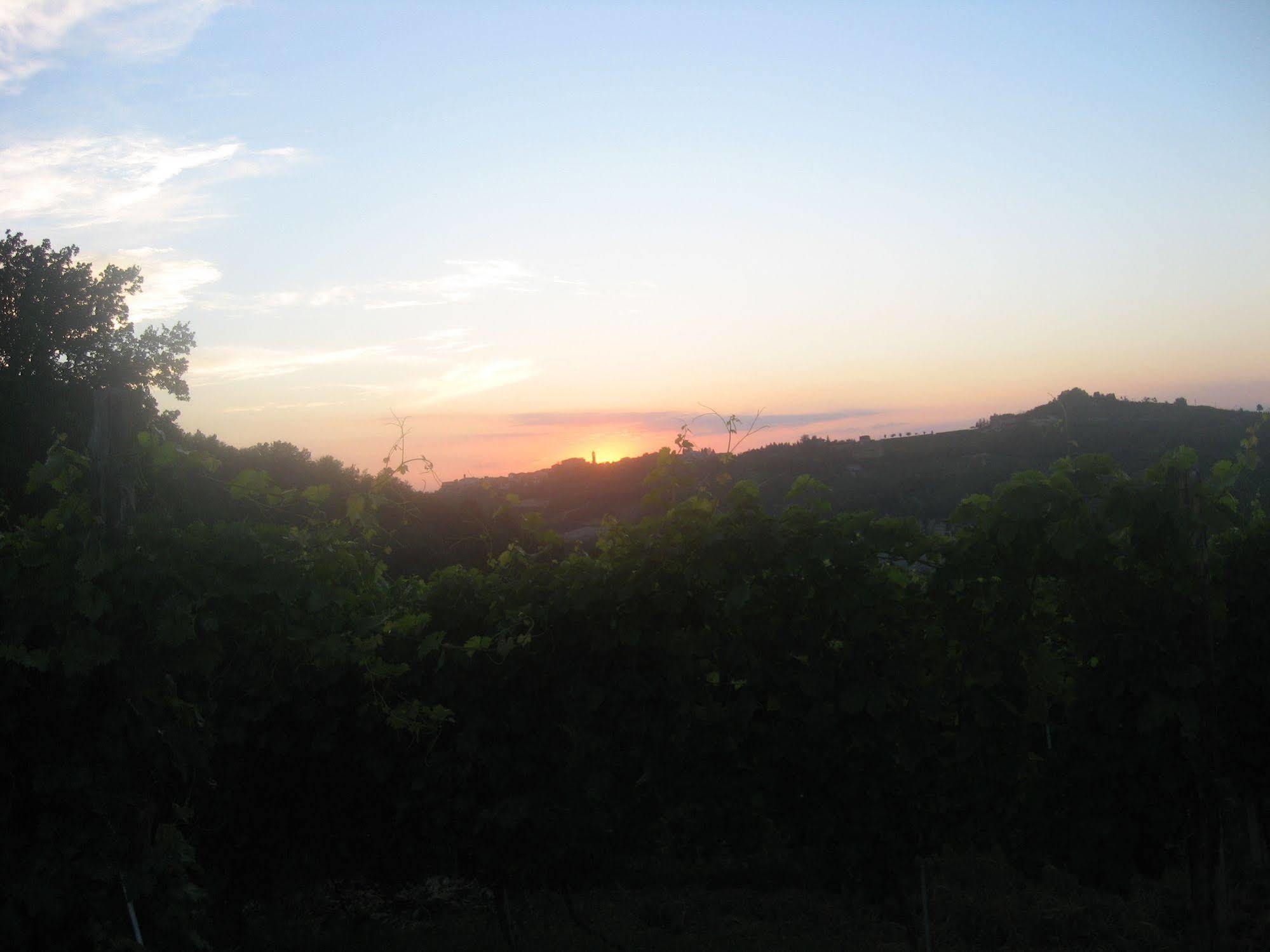 Agriturismo Cascina Serra Cossano Belbo ภายนอก รูปภาพ